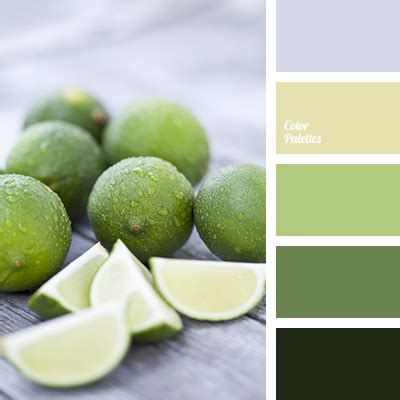 color of green tea | Color Palette Ideas