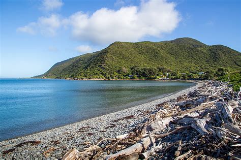 Kapiti Island Kiwi Spotting - Premier Holidays