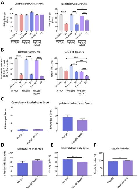 Standard C57BL/6 mice were compared at 8 weeks post-SCI with... | Download Scientific Diagram