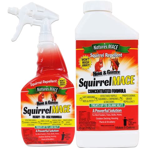 Nature's MACE Squirrel MACE Squirrel Repellent | 40oz RTU Spray, Plus ...