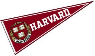 7 Best Images of Printable College Pennants Flag - Free Printable Baseball Pennant Template ...