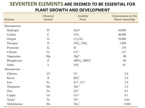 Mineral nutrition of plants