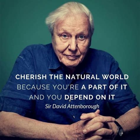 Save Planet Earth, Save Our Earth, David Attenborough Quotes, Computer Science Engineering ...