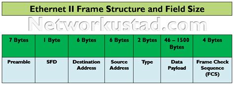 Ethernet Frame Structure » NetworkUstad