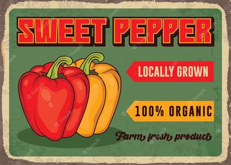 Premium Vector | Sweet pepper vintage vegetable market advertising poster vector template