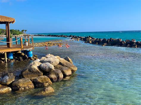 Everything you need to know about visiting Flamingo Beach, Aruba! — The Sweetest Escapes