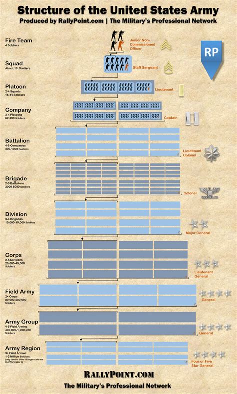 Infographic Shows Unit Breakdown In Army - Business Insider