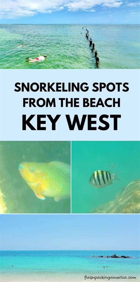 Best Key West snorkeling spots for beginners from shore or beach ...