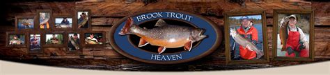 Manitoba Record Brook Trout