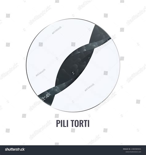 Pili Torti: Over 2 Royalty-Free Licensable Stock Vectors & Vector Art | Shutterstock