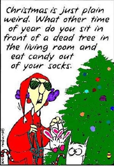 Tis' The Season For Laughing All The Way - 24 Pics | Funny christmas images, Funny christmas ...