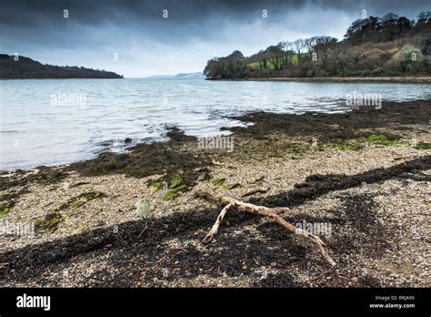 The River Fal in Cornwall Stock Photo - Alamy