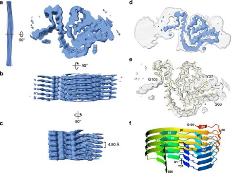 Frontiers General Principles Underpinning Amyloid Structure, 48% OFF