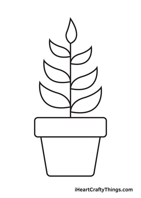 Plant Drawing — How To Draw A Plant Step By Step