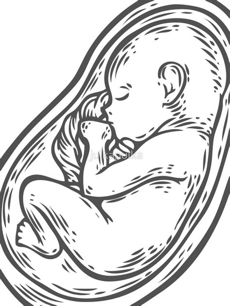 Baby In Womb Drawing at GetDrawings | Free download