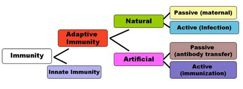 Immunity (medical) - wikidoc