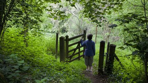 Walking at Newark Park │Glos | National Trust