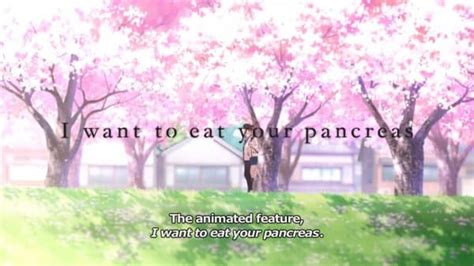 I Want To Eat Your Pancreas - Summary, Review (with Spoilers)