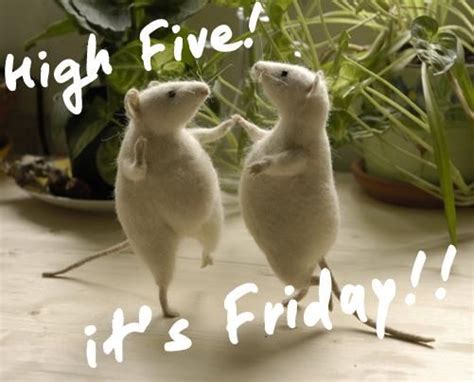 High Five! It's Friday! :: Friday :: MyNiceProfile.com