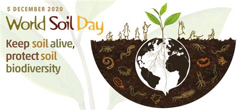 World Soil Day 2020 | Carmel Clay Parks & Recreation