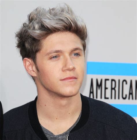 One Direction Picture 503 - 2013 American Music Awards - Arrivals