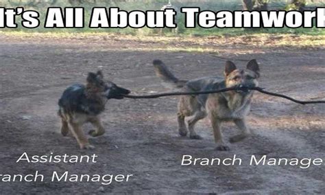 Bad Teamwork Funny