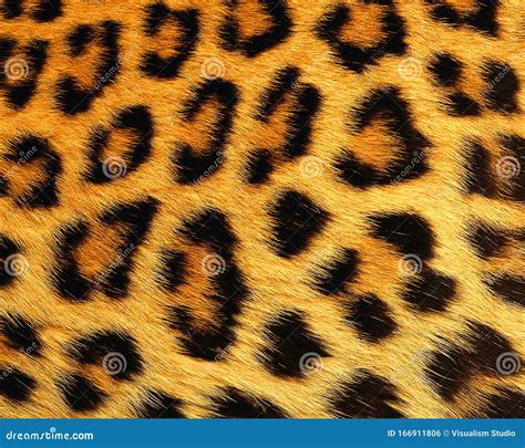 Leopard Skin Pattern Texture Repeating Monochrome Texture Animal Prints Background Stock Photo ...