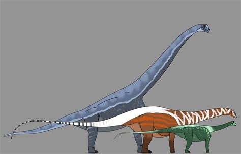 Sauropods by StygimolochSpinifer on DeviantArt