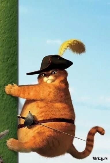 Create meme "fat puss in boots from Shrek, cat boots, Shrek puss in boots fat" - Pictures - Meme ...