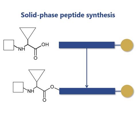 Solid-phase peptide synthesis and the discovery of therapeutic peptides