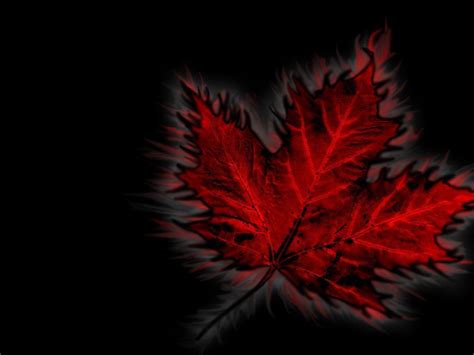 Canadian Flag Wallpapers - Wallpaper Cave