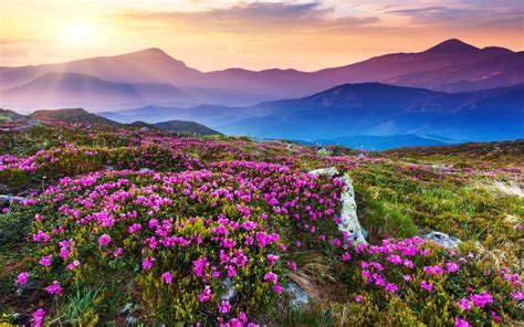 高清晰漂亮的花山美景