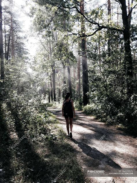 Rear view of girl walking at forest footpath at sunny day — sunlight ...