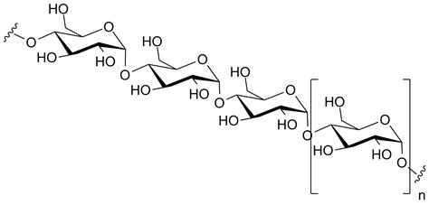 Polysaccharide | Definition, Types & Examples - Lesson | Study.com