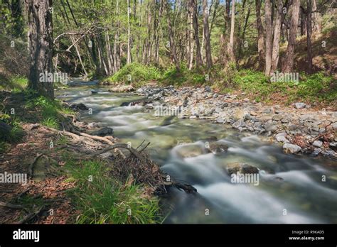 Water flowing in a mountain river creating small waterfalls at Troodos mountains, Cyprus Stock ...