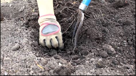 Gardening - Loosening Soil and Weeding Before Planting - YouTube