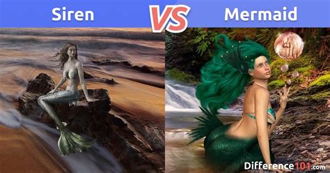 Siren vs. Mermaid: Top 5 Differences, Pros & Cons | Difference 101