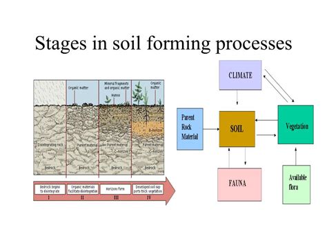 PPT - Soils PowerPoint Presentation, free download - ID:777635