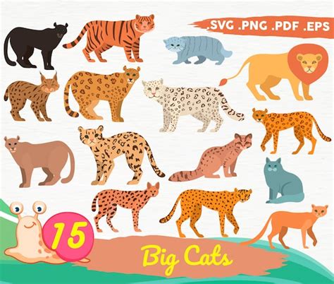 Big Cats Svg Cartoon Big Cats Clipart Exotic Cats Wildlife | Etsy