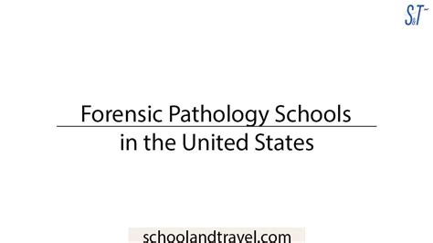 7 Forensic Pathology Schools in the United States (FAQs) | 2023