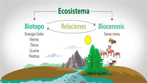 Biocenosis: Qué es, factores, fluctuaciones y ejemplos