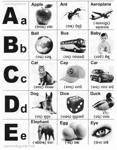 Odia alphabet A to Z | SEG