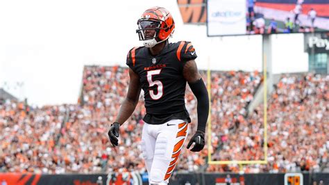 Former Cincinnati Bengals star questions if team needs Tee Higgins ...