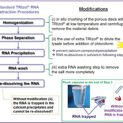 Schematic showing the standard TRIzol ® RNA extraction procedures shown ...