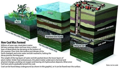 Coal | Types of Coal: Peat, Lignite, Bituminous Coal & Anthracite Coal ...