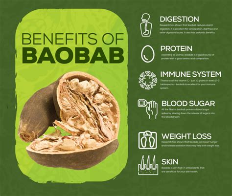 The Nutritional Powerhouse: Benefits of African Baobab Powder – URBAN PRAKRITI