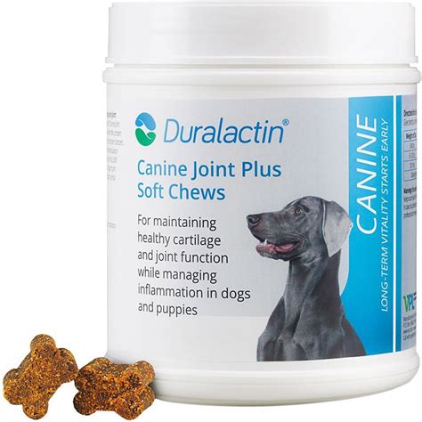 The Best Joint Supplements for Dogs: Veterinarians’ Recommendations ...