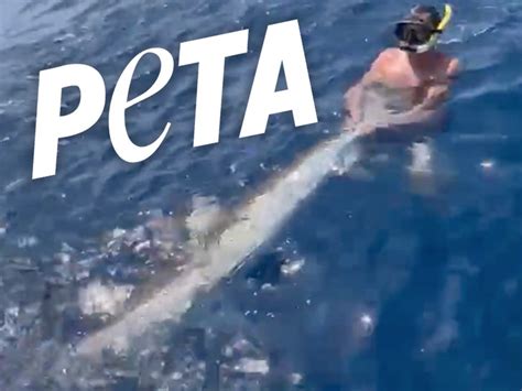 PETA Slams Drew Rosenhaus For Shark Wrestling, 'Wannabe Macho Man'