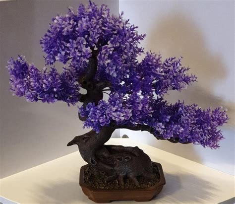 Dark Purple Bonsai Tree