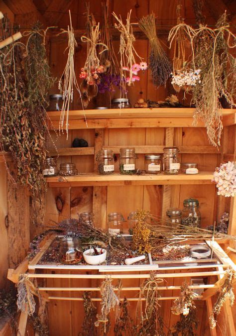 20+ Hanging herbs harvest ideas | hanging herbs, herbs, drying herbs